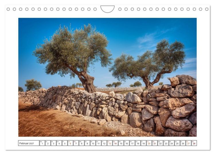 Produktbild: Die Magie der Olivenhaine (Wandkalender 2027 DIN A4 quer), CALVENDO Monatskalender