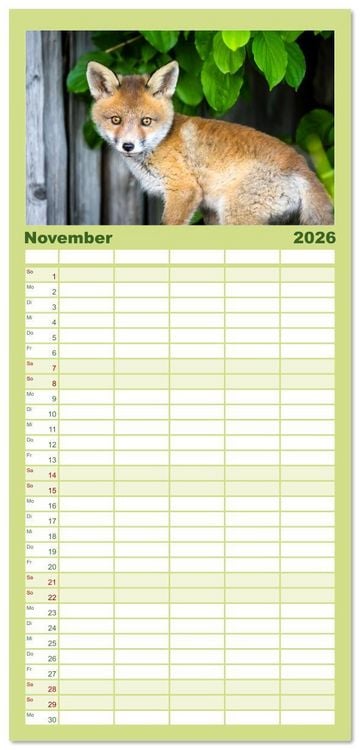 Produktbild: Familienplaner 2026 - Verspielte Fuchswelpen - Allein zu Haus' mit 5 Spalten (Wandkalender, 21 x 45 cm) CALVENDO