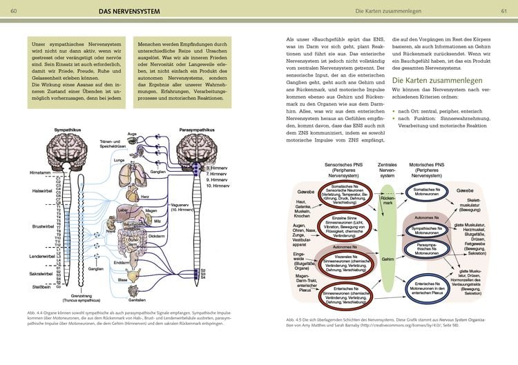 Produktbild: Yoga-Anatomie