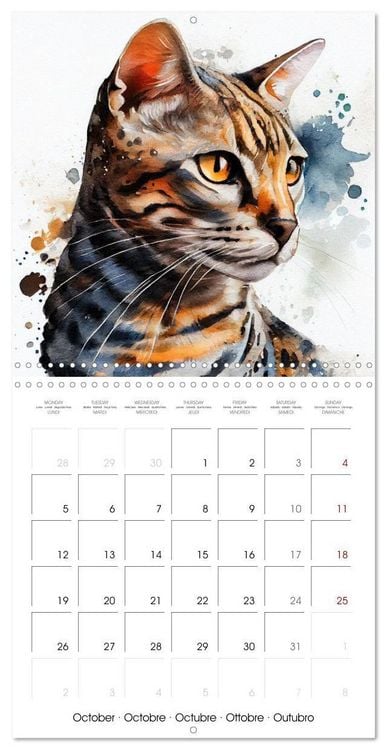 Produktbild: Cat Breeds in Watercolor (Wall Calendar 2026 12 &times; 12 Inch) CALVENDO 12 Month Wall Calendar