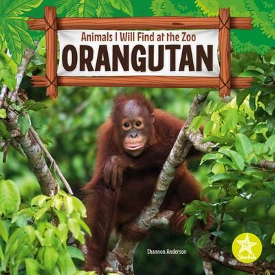 Produktbild: Orangutan