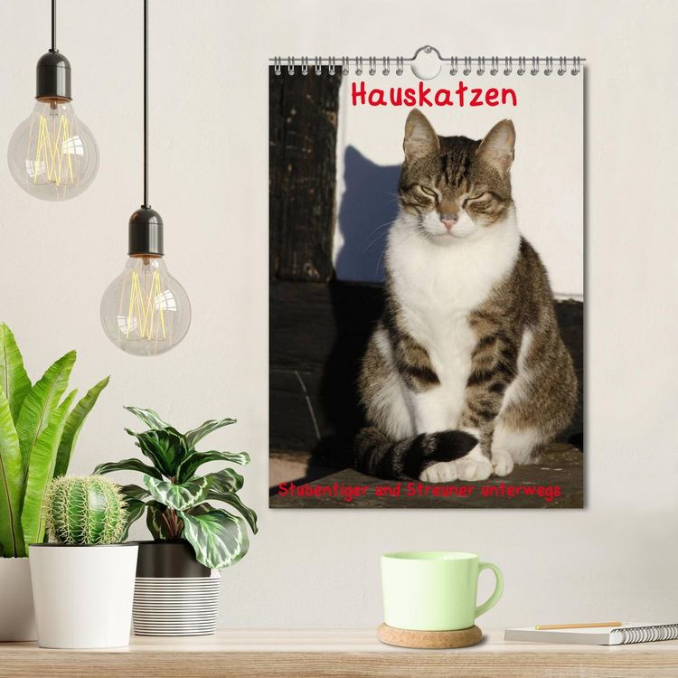 Produktbild: Hauskatzen (Wandkalender 2026 DIN A4 hoch), CALVENDO Monatskalender