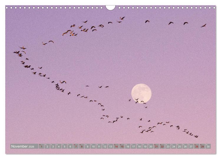 Produktbild: Vollmond - Momente der Ruhe (Wandkalender 2026 DIN A3 quer), CALVENDO Monatskalender
