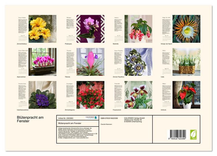 Produktbild: Bl&uuml;tenpracht am Fenster (Wandkalender 2026 DIN A3 quer), CALVENDO Monatskalender