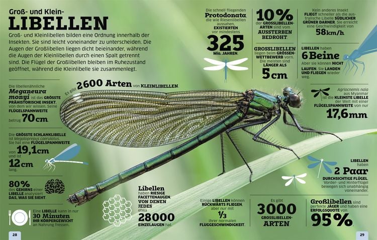 Produktbild: Unsere Welt in Zahlen. Tiere