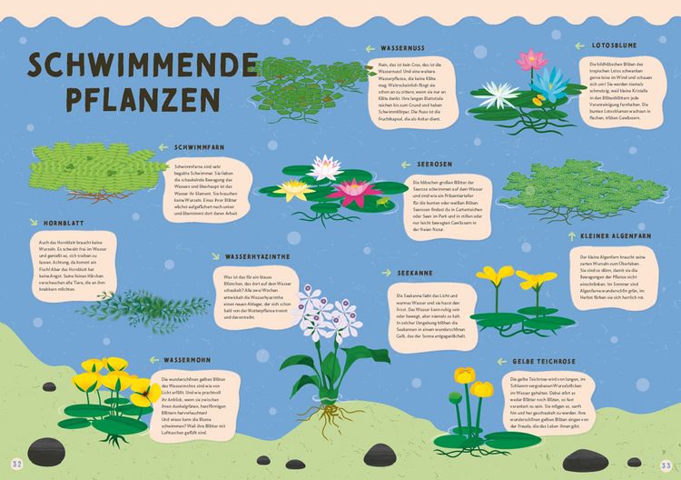Produktbild: Alles, was schwimmt. Im und auf und unter dem Wasser