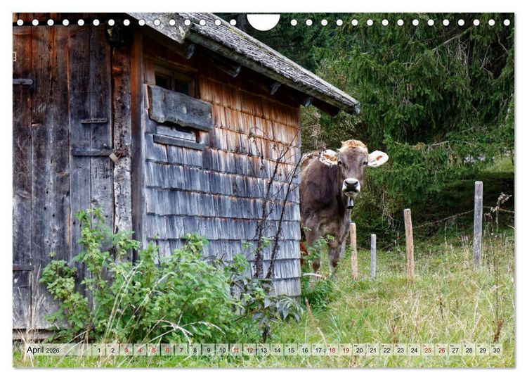 Produktbild: Herbst im Tannheimer Tal - Impressionen von Schattwald bis Nesselw&auml;ngle (Wandkalender 2026 DIN A4 quer), CALVENDO Monatskalender
