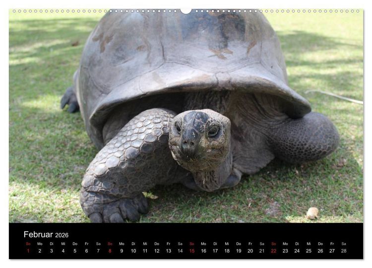 Produktbild: Seychellen (Wandkalender 2026 DIN A2 quer), CALVENDO Monatskalender