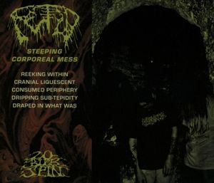 Produktbild: Steeping Corporeal Mess