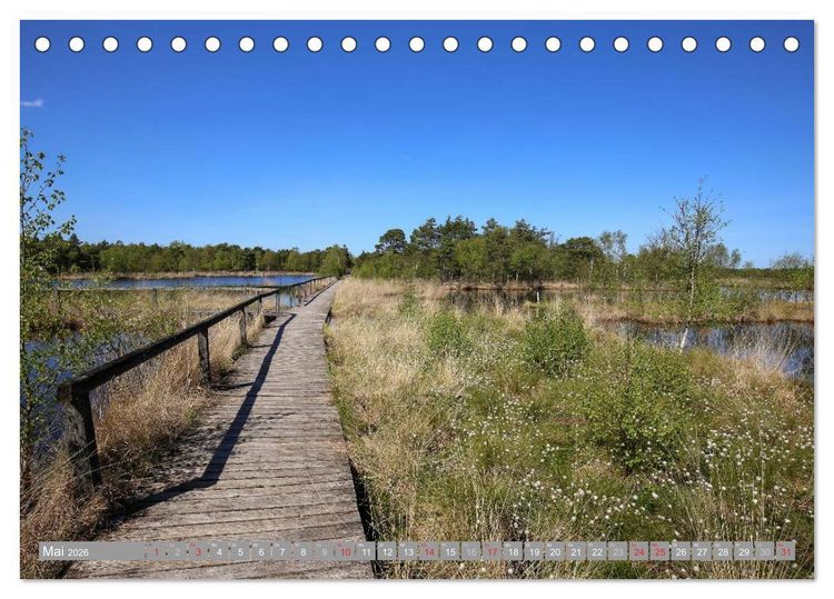 Produktbild: Pietzmoor - ein Hochmoor in der L&uuml;neburger Heide (Tischkalender 2026 DIN A5 quer), CALVENDO Monatskalender