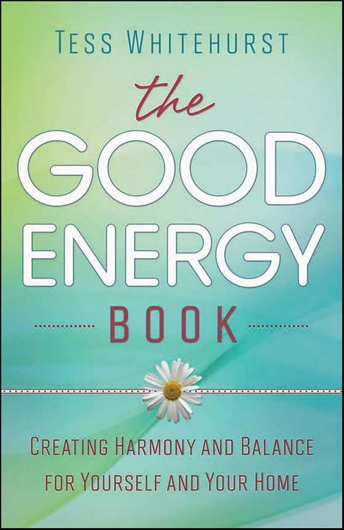 Produktbild: The Good Energy Book