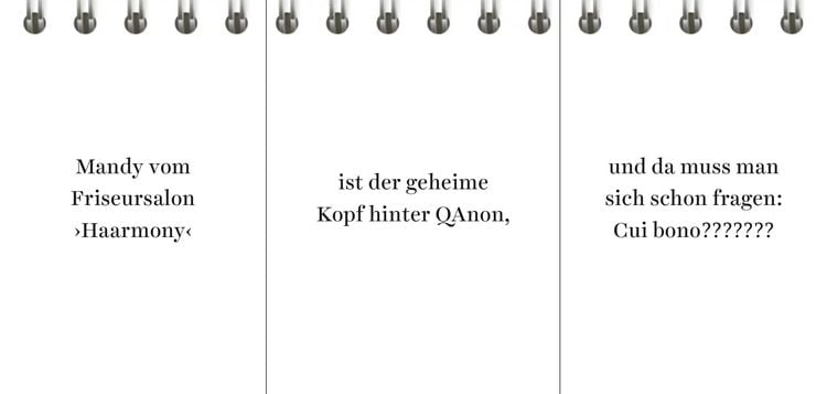 Produktbild: Der Desinformator