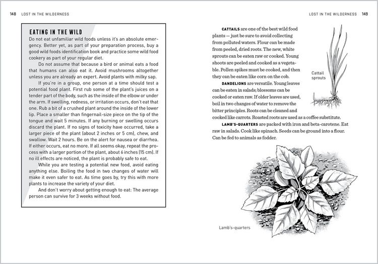 Produktbild: The Natural First Aid Handbook