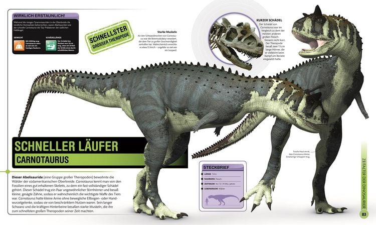 Produktbild: Super-Dinos