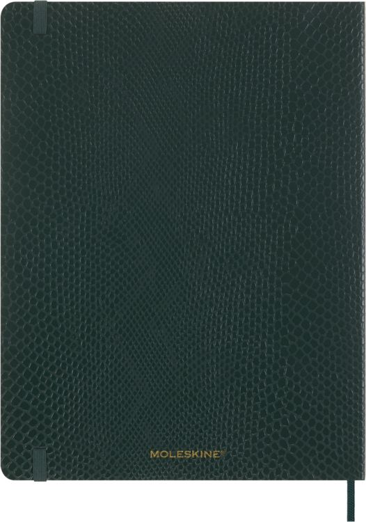 Produktbild: Moleskine Vegea Boa Notizbuch, XL, liniert, weicher Einband, gr&uuml;n, in Box