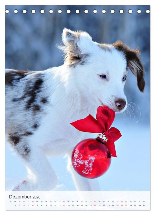 Produktbild: Hundepers&ouml;nlichkeiten (Tischkalender 2026 DIN A5 hoch), CALVENDO Monatskalender