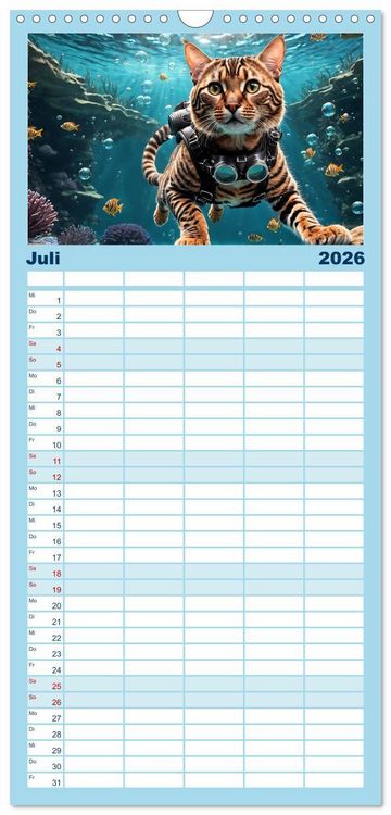 Produktbild: Familienplaner 2026 - Katzen unter Wasser mit 5 Spalten (Wandkalender, 21 x 45 cm) CALVENDO