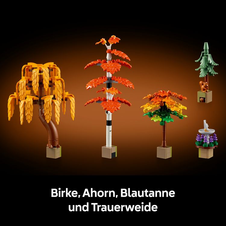 Produktbild: LEGO Icons 11372 Herbstlicher Landhausgarten, Modellbau f&uuml;r Erwachsene