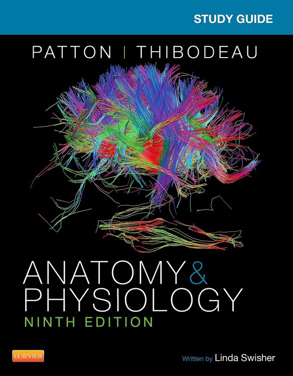 Produktbild: Study Guide for Anatomy & Physiology - E-Book