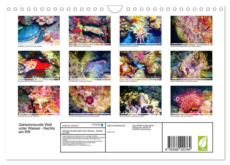 Produktbild: Geheimnisvolle Welt unter Wasser - Nachts am Riff (Wandkalender 2027 DIN A4 quer), CALVENDO Monatskalender