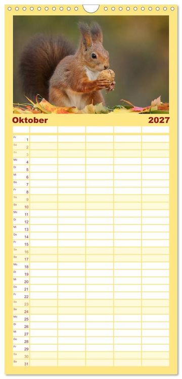 Produktbild: Familienplaner 2027 - Eichh&ouml;rnchen in zauberhaften Posen mit 5 Spalten (Wandkalender, 21 x 45 cm) CALVENDO