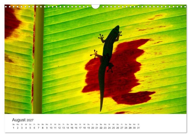 Produktbild: Himmlisches Hawaii (Wandkalender 2027 DIN A3 quer), CALVENDO Monatskalender