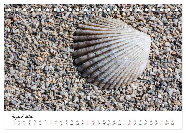 Produktbild: Mauritius - Insel zum Durchatmen (Tischkalender 2026 DIN A5 quer), CALVENDO Monatskalender