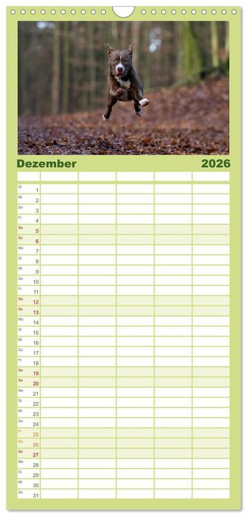 Produktbild: Familienplaner 2026 - Hunde Action mit 5 Spalten (Wandkalender, 21 x 45 cm) CALVENDO