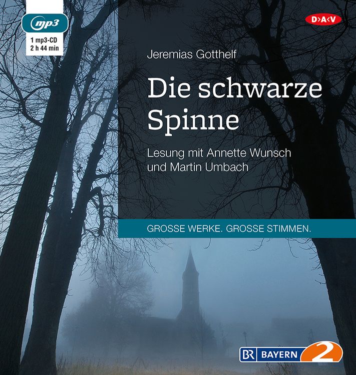 Produktbild: Die schwarze Spinne