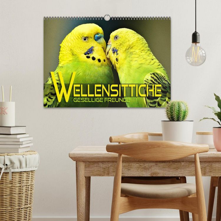 Produktbild: Wellensittiche - gesellige Freunde (Wandkalender 2026 DIN A3 quer), CALVENDO Monatskalender