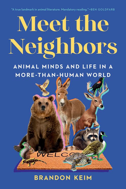 Produktbild: Meet the Neighbors