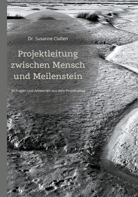 Produktbild: Projektleitung zwischen Mensch und Meilenstein