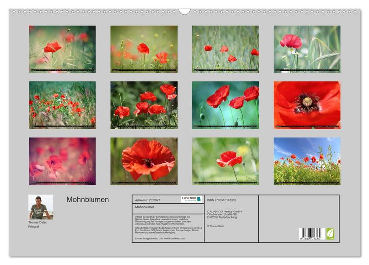 Produktbild: Mohnblumen (Wandkalender 2026 DIN A2 quer), CALVENDO Monatskalender