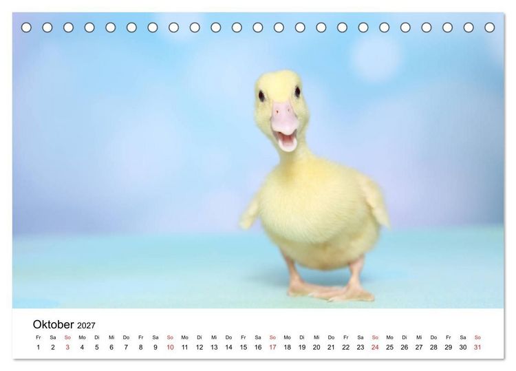 Produktbild: lach mit...just smile (Tischkalender 2027 DIN A5 quer), CALVENDO Monatskalender