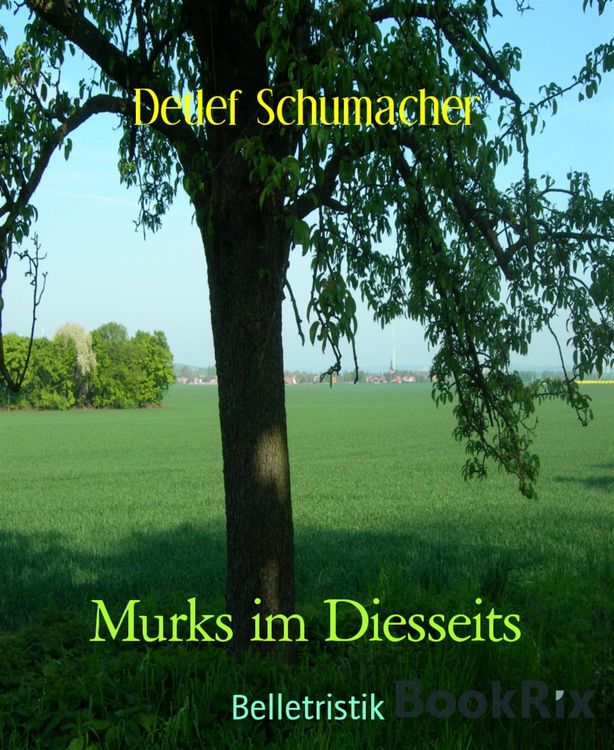 Produktbild: Murks im Diesseits