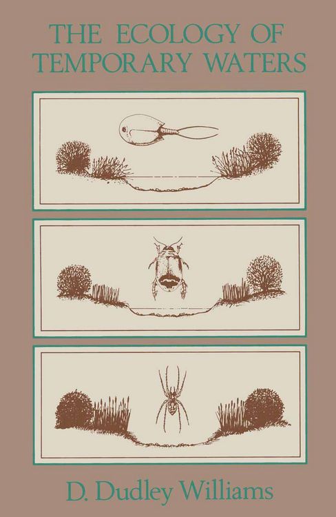 Produktbild: The Ecology of Temporary Waters