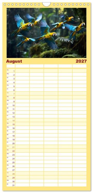 Produktbild: Familienplaner 2027 - Die Magie der Masse mit 5 Spalten (Wandkalender, 21 x 45 cm) CALVENDO