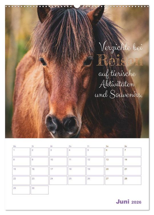 Produktbild: Tierische Challenges: F&uuml;r mehr Bewusstsein und mehr Tierschutz (Wandkalender 2026 DIN A2 hoch), CALVENDO Monatskalender