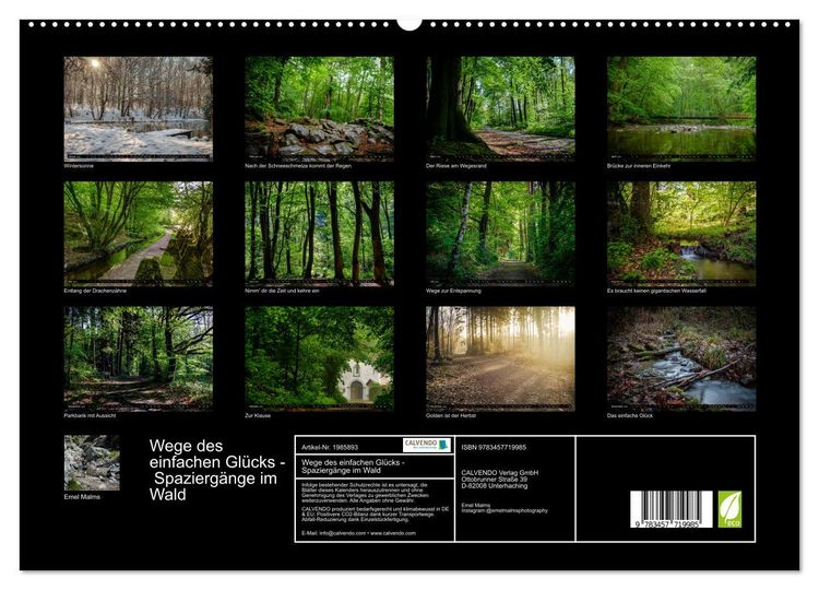 Produktbild: Wege des einfachen Gl&uuml;cks - Spazierg&auml;nge im Wald (hochwertiger Premium Wandkalender 2026 DIN A2 quer), Kunstdruck in Hochglanz