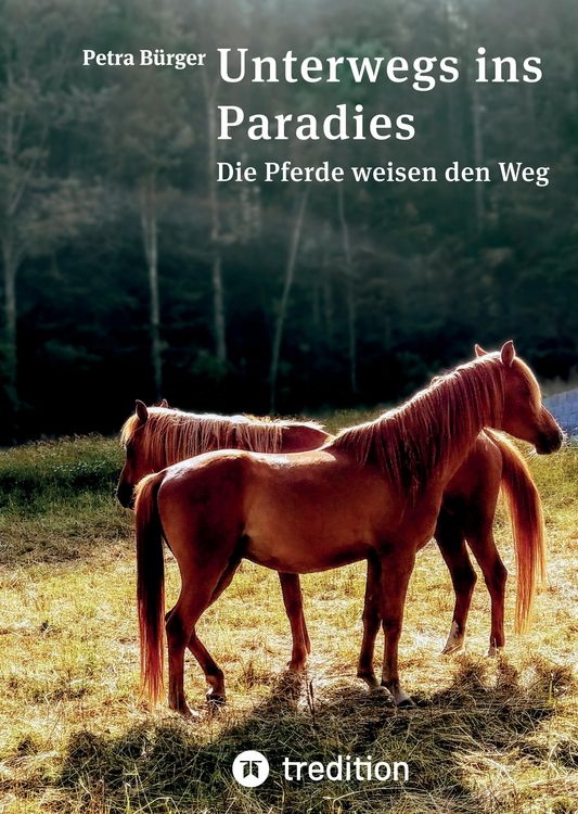 Produktbild: Unterwegs ins Paradies