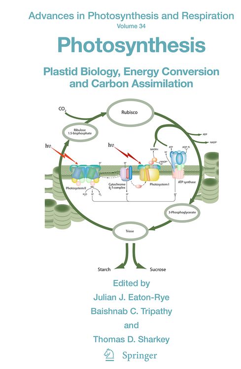 Produktbild: Photosynthesis
