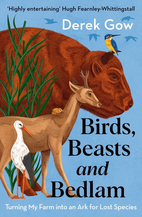 Produktbild: Birds, Beasts and Bedlam