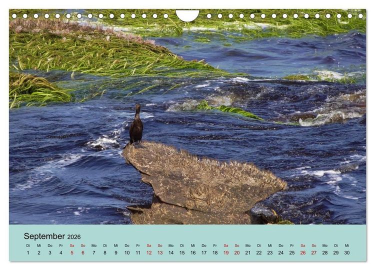 Produktbild: Venezuela - Natur pur Orinoco Delta und die Anden (Wandkalender 2026 DIN A4 quer), CALVENDO Monatskalender