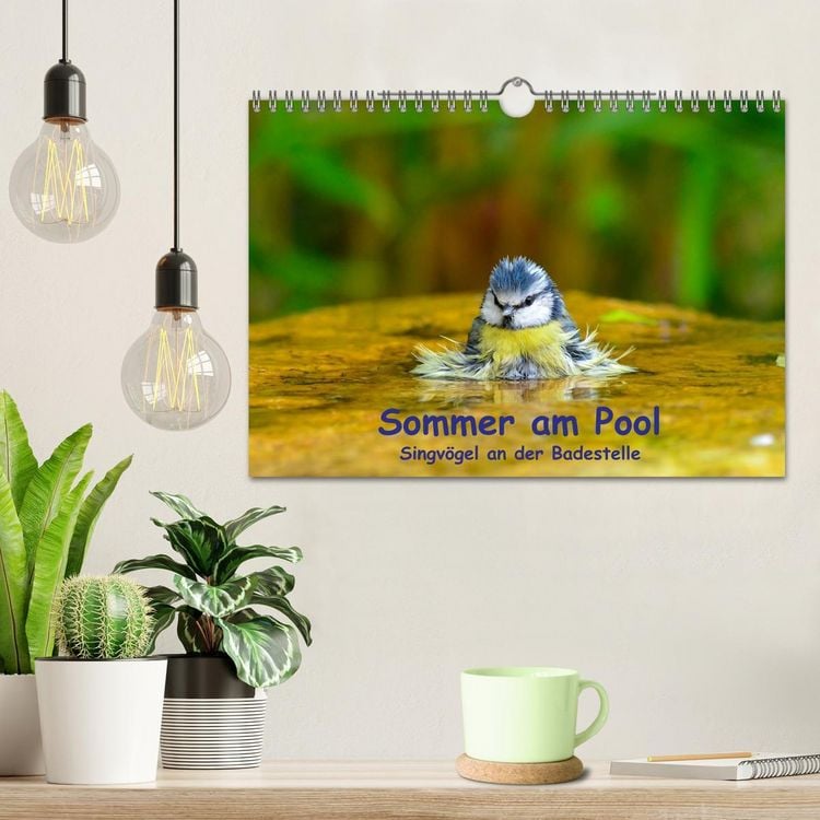 Produktbild: Sommer am Pool - Singv&ouml;gel an der Badestelle (Wandkalender 2026 DIN A4 quer), CALVENDO Monatskalender