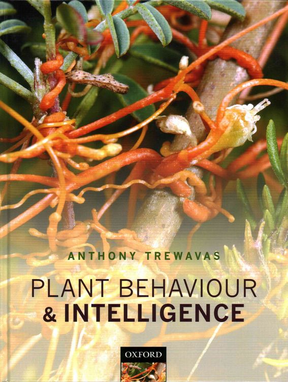 Produktbild: Plant Behaviour & Intelligence C