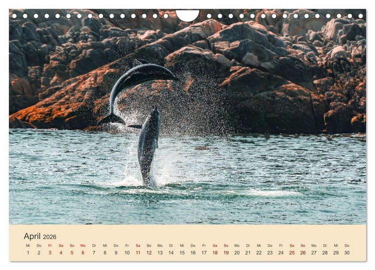Produktbild: OMAN - Orientperle (Wandkalender 2026 DIN A4 quer), CALVENDO Monatskalender