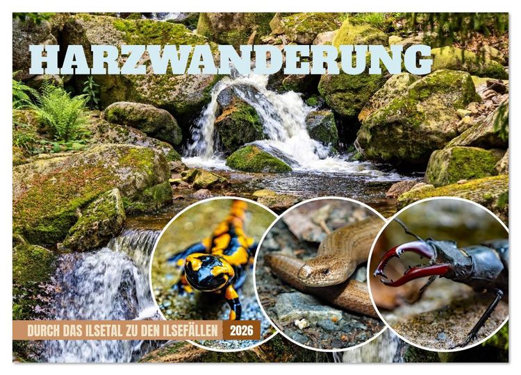Produktbild: Harzwanderung-Durch das Ilsetal zu den Ilsef&auml;llen (Wandkalender 2026 DIN A4 quer), CALVENDO Monatskalender