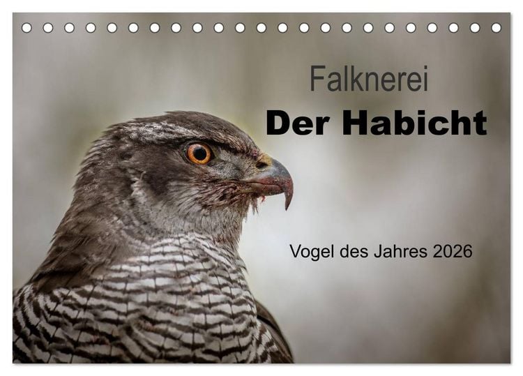 Produktbild: Falknerei Der Habicht (Tischkalender 2026 DIN A5 quer), CALVENDO Monatskalender
