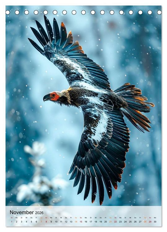 Produktbild: V&ouml;gel - K&uuml;nstler im Flug (Tischkalender 2026 DIN A5 hoch), CALVENDO Monatskalender