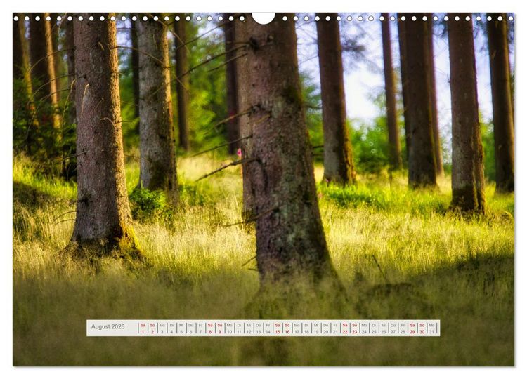 Produktbild: Traumhafte Waldstimmung am Rennsteig im Th&uuml;ringer Wald (Wandkalender 2026 DIN A3 quer), CALVENDO Monatskalender